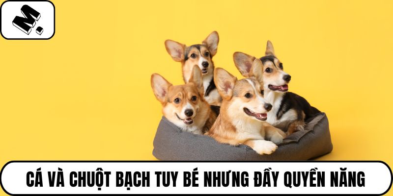 Cá và chuột bạch tuy bé nhưng đầy quyền năng