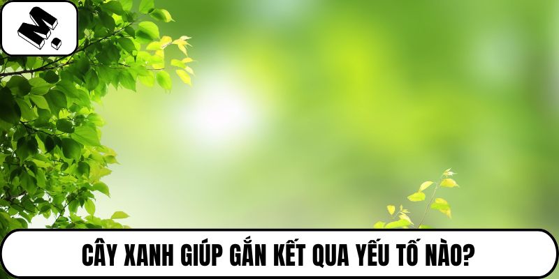 Cây xanh giúp gắn kết qua yếu tố nào?