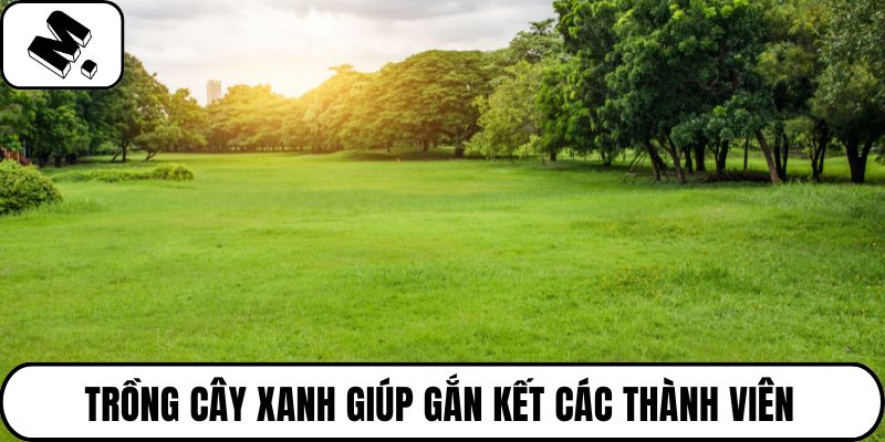 Cây xanh giúp gắn kết