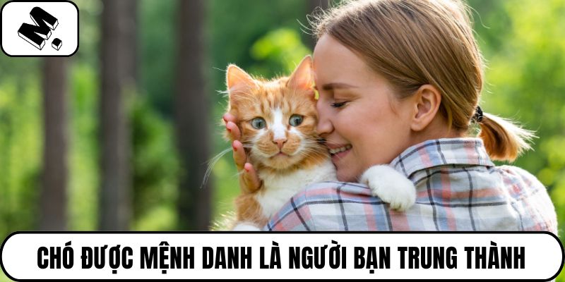 Chó được mệnh danh là người bạn trung thành