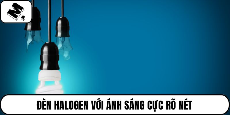 Đèn halogen với ánh sáng cực rõ nét