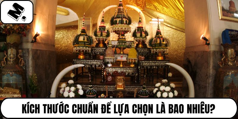 Kích thước chuẩn để lựa chọn là bao nhiêu?